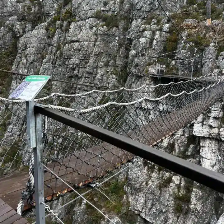 1 Day 4×4 and Zipline Adventure: Cape Canopy Tour