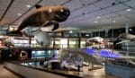 Unearth the Past at Iziko Museums Cape Town: An Unforgettable Adventure! - Image 10