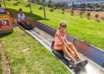 Slide into Adventure: Tobogganing Fun and Learning! - Image 14