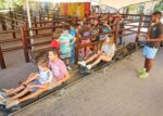 Slide into Adventure: Tobogganing Fun and Learning! - Image 17
