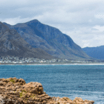 Shark Cage Diving Tour in Gansbaai - Image 4