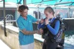 An Unforgettable Two Oceans Aquarium Adventure! - Image 6