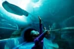 An Unforgettable Two Oceans Aquarium Adventure! - Image 7