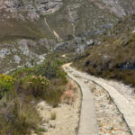 1 Day 4x4 and Zipline Adventure: Cape Canopy Tour - Image 3