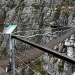 1 Day 4x4 and Zipline Adventure: Cape Canopy Tour