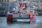 A Captivating Cape Town Harbour Cruise! - Image 9
