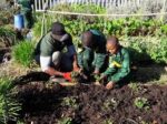 Zeekoevlei: Nature's Hidden Gem in Cape Town! - Image 4
