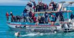 Witness the Giants of the Ocean: An Unforgettable Whale Watching Adventure! - Image 6