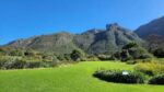 Discover the Magic of Kirstenbosch Botanical Gardens - Image 9