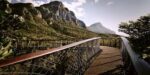 Discover the Magic of Kirstenbosch Botanical Gardens - Image 12