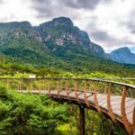 Discover the Magic of Kirstenbosch Botanical Gardens - Image 3