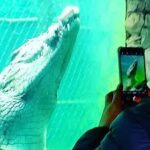 An Unforgettable Crocodile Encounter at Afrikanos! - Image 7