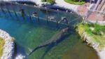 An Unforgettable Crocodile Encounter at Afrikanos! - Image 4