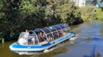 Unleash Your Inner Explorer: An Intaka Island Adventure! - Image 5