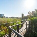 Unleash Your Inner Explorer: An Intaka Island Adventure! - Image 10