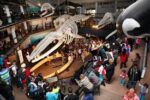 Unearth the Past at Iziko Museums Cape Town: An Unforgettable Adventure! - Image 5