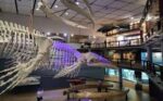 Unearth the Past at Iziko Museums Cape Town: An Unforgettable Adventure! - Image 8