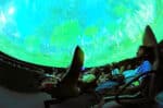 Journey to the Stars: An Immersive Planetarium Experience! - Image 11