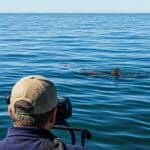 Shark Spotters – Safety | Conservation | Education | Research - Image 4