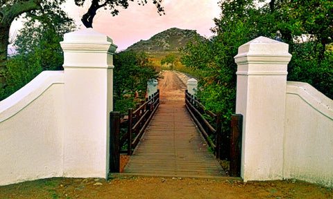 Babylonstoren, Western Cape