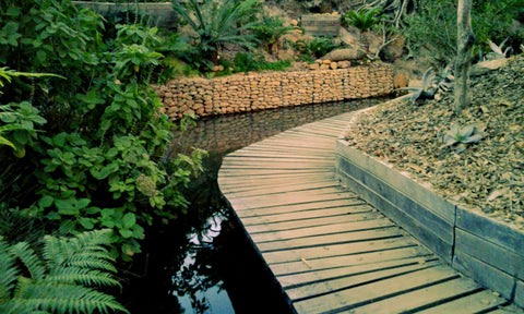 Babylonstoren, Western Cape