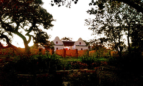 Babylonstoren, Western Cape