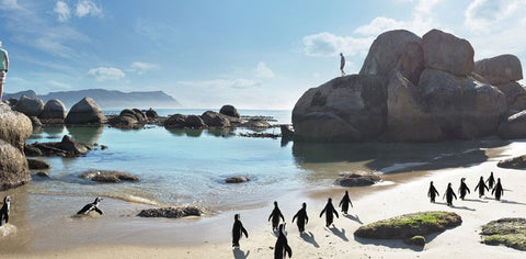 Cape Town photography