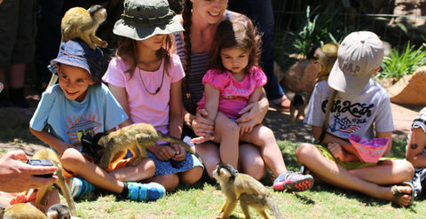 Activities For Kids In Cape Town, World Of Birds