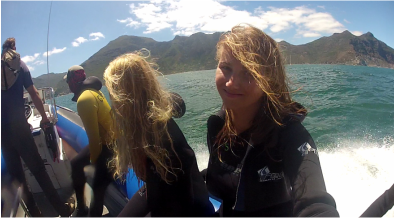 Boat Ride To Snorkel With The Seals At Seal Island Cape Town