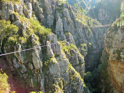 Cape Canopy Tour Zip Lining