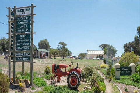 Activities For Kids In Cape Town, Imhoff Farm