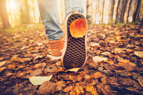 Cape Town Autumn season, weather, things to do