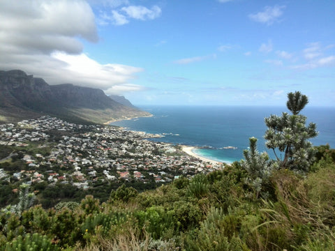 Lions Head View