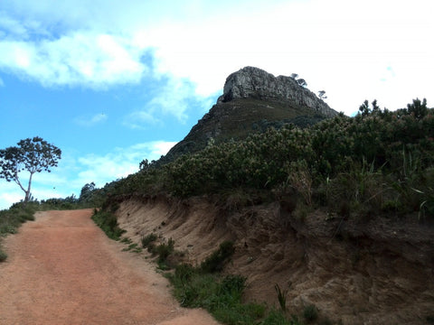 Lions Head in Cape Town