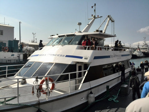 Sea Ferry to Robben Island Tour Cape Town