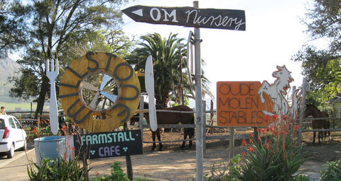 Activities For Kids In Cape Town, Oude Molen Eco Village
