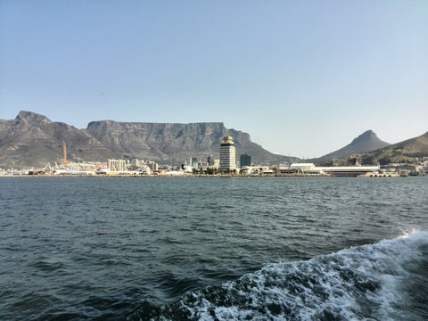 View on the way back from Robben Island