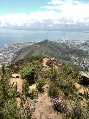 View From Lions Head