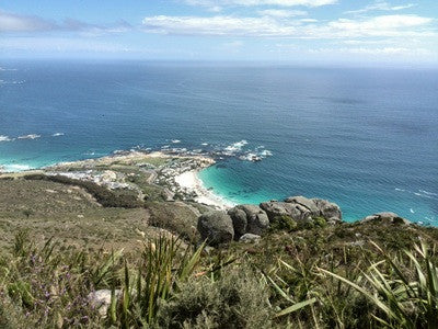 View from Lions Head In Cape Town